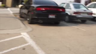 Karen Idaho Freakout