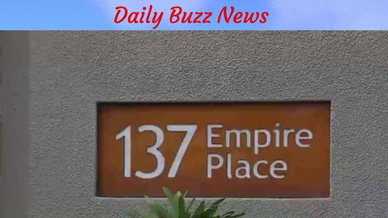 Routine Arrest Sparks High-Stakes Confrontation Between Hawks and Police Units