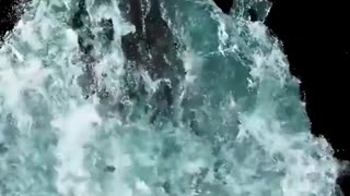 🌕🔮 The Moon's Gravitational Power: Tides and the Universe's Greatest Mystery | TheTruthAbove