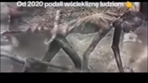 To bedzie wydarzenie globalne tym razem!