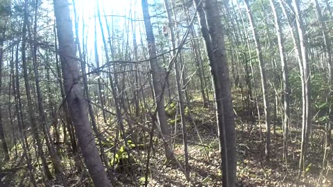 Luck was with us today