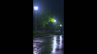 Echoed Silence – sound that forgets itself.