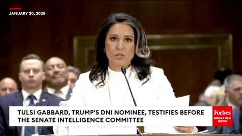 Tulsi Gabbard Defends Her Record, Slams Intelligence Community In Confirmation Intro