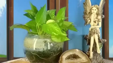 😊 CAPÍTULO 16: TÉCNICA CHAMÁNICA HAWAIANA ‘OI-PAHU 😊