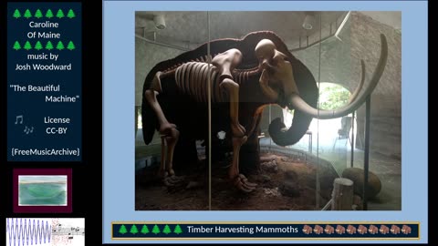 Music, Mammoths and Gaming