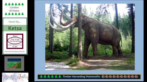 Music, Mammoths and Gaming