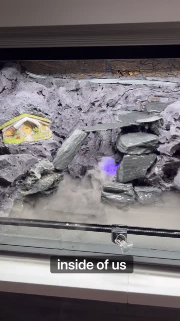 Terrarium Water Features