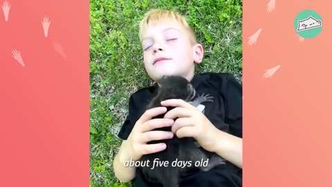 funny animals