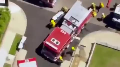 the sentient world order may target for organ harvesting..