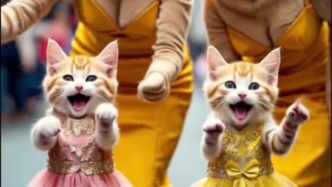 Heartbreaking Rescue! A Poor Cat's Journey to Hope