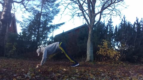 Full Body Calisthenics Home Workout