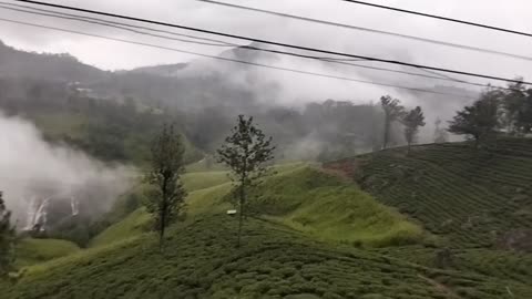 Beauty of the mist mountain