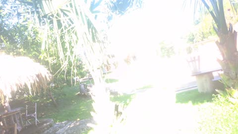 #14 Enter the jungle with Marc