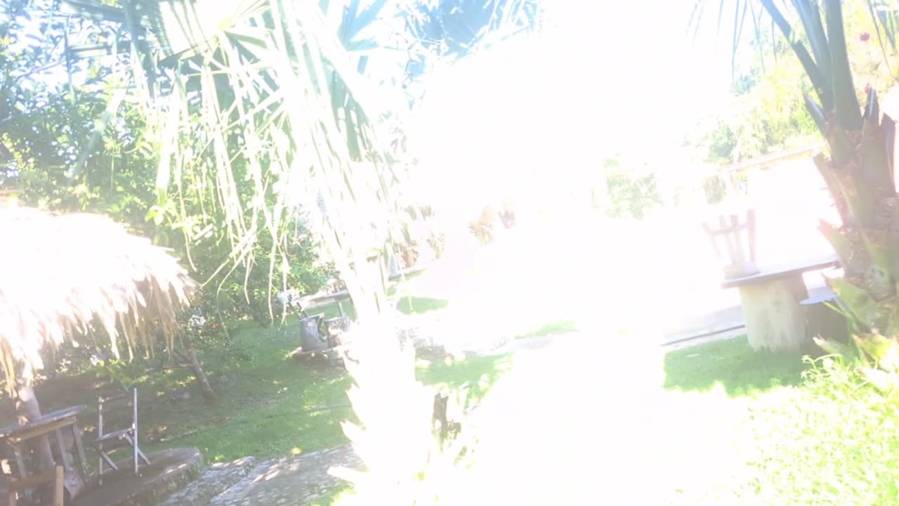 #14 Enter the jungle with Marc