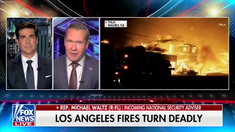 Rep. Michael Waltz: Pres. Trump is ready to clean up the mess once again