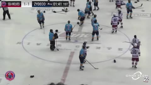 Baton Rouge Zydeco vs Mississippi Sea Wolves Benches Clearing Brawl December 1, 2023