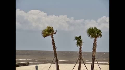 9 hours of Bay St. Louis, MS beach, wind, waves, and palm trees - ASMR