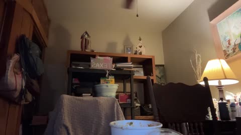 11/28/25 Gymnik VOD: "Gymnik 🌞 is live!"