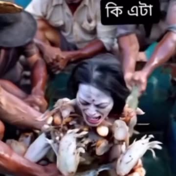 funny funny videos funny names funny animalsfunny funny videos funny names funny animals