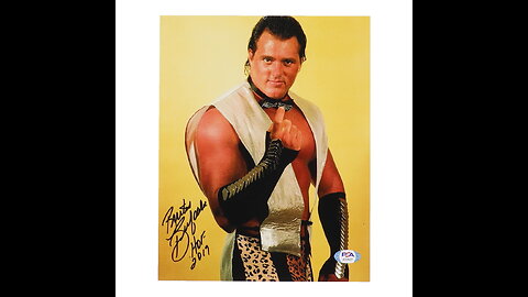 British bulldog's vs the dream team of Brutus beefcake for tag team titles