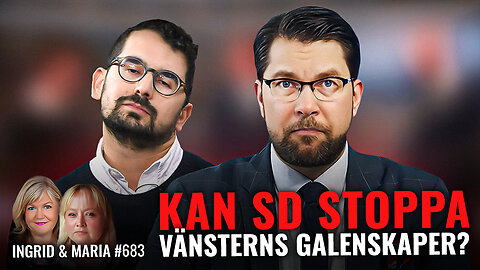 Kan SD STOPPA vänsterns GALENSKAPER? IS-terroristers skyddsbehov