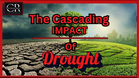 The Cascading Impact of Drought