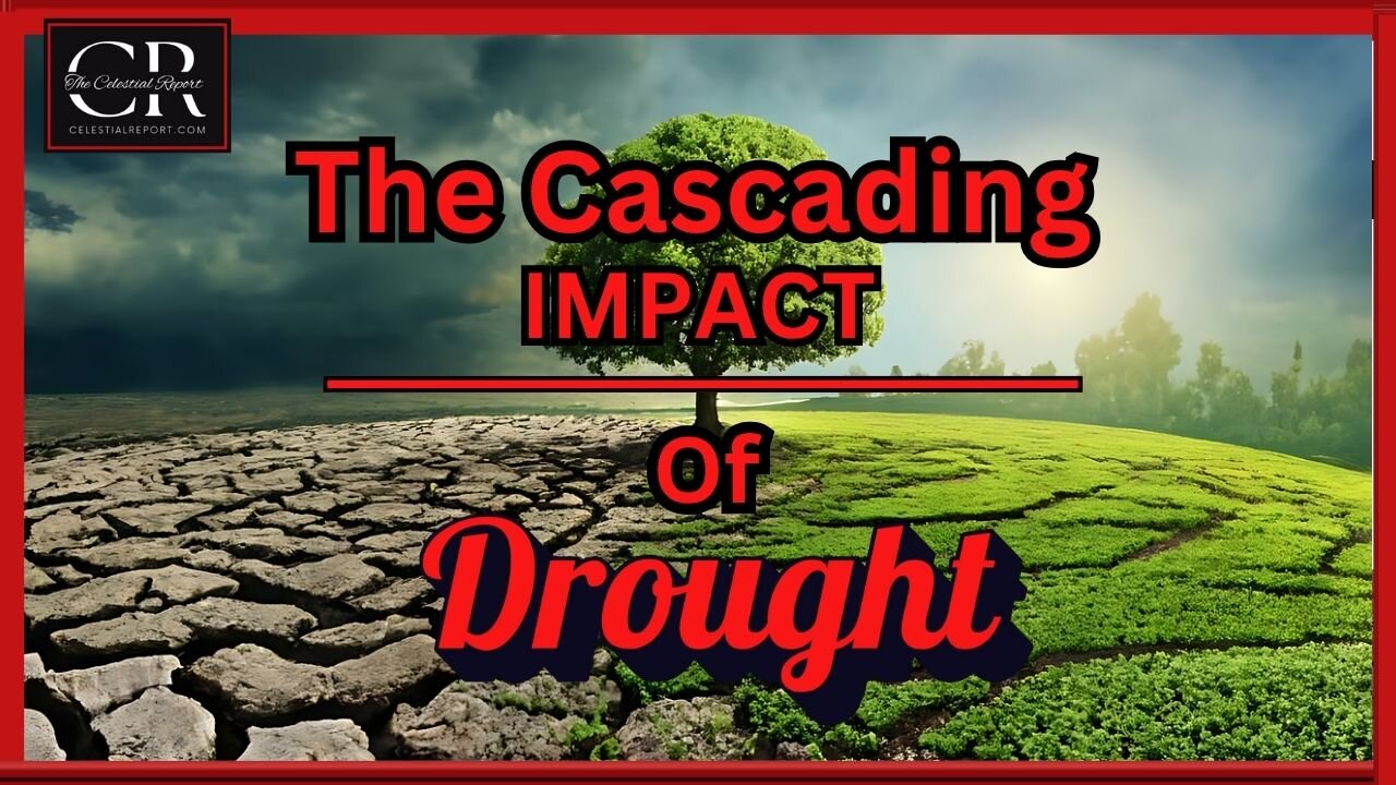 The Cascading Impact of Drought