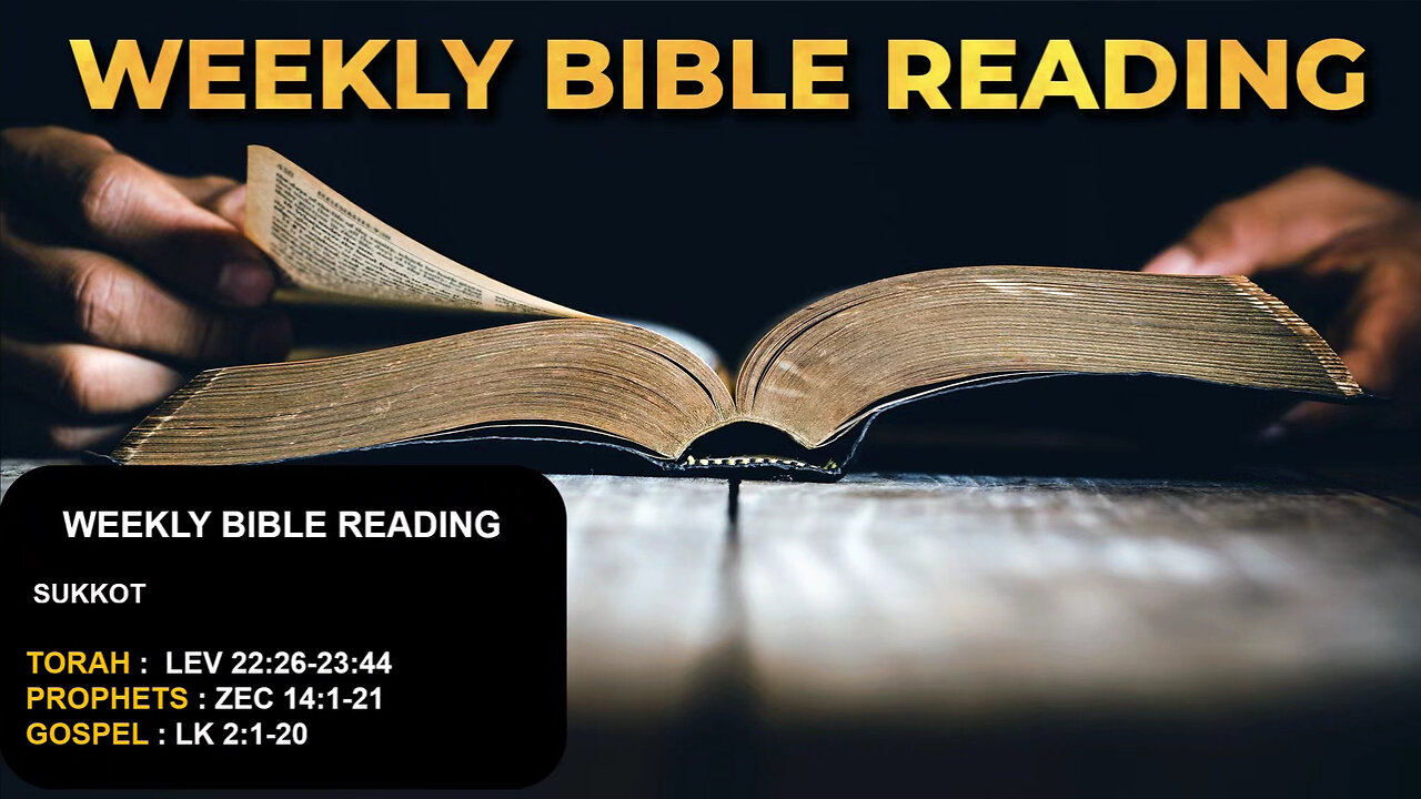 Torah Portion | Sukkot | October 11th, 2025