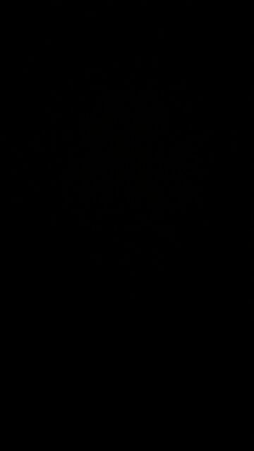 Hush money allegations