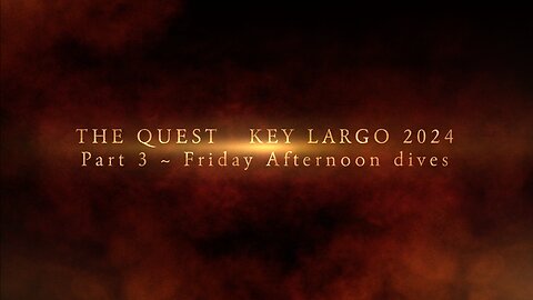 The Quest ~ Part 3