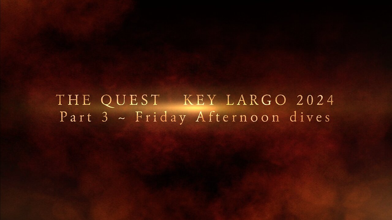 The Quest ~ Part 3