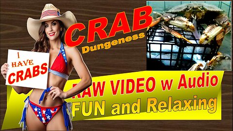 LovingKindWarm Crab Video Underwater Crab Pot Fish Boat ASMR Visual/Audio Fun 20240828_Good 3 PV