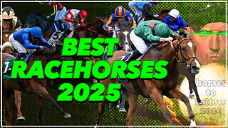 Best Racehorses 2025 & Horses To Follow for 2026