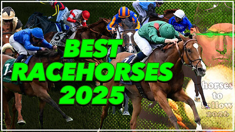 Best Racehorses 2025 & Horses To Follow for 2026