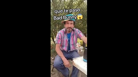 bad buny