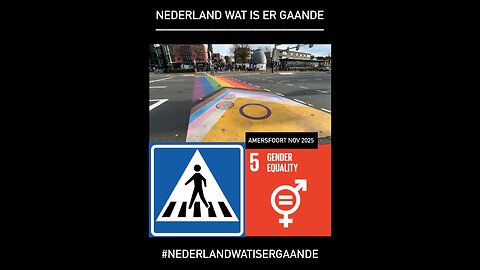 Intersekse Progress Pride Vlag SDG 5 zebrapad-oversteekplaats in Amersfoort