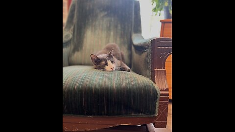 Episode 3067 ChattingWSA 01/09/26