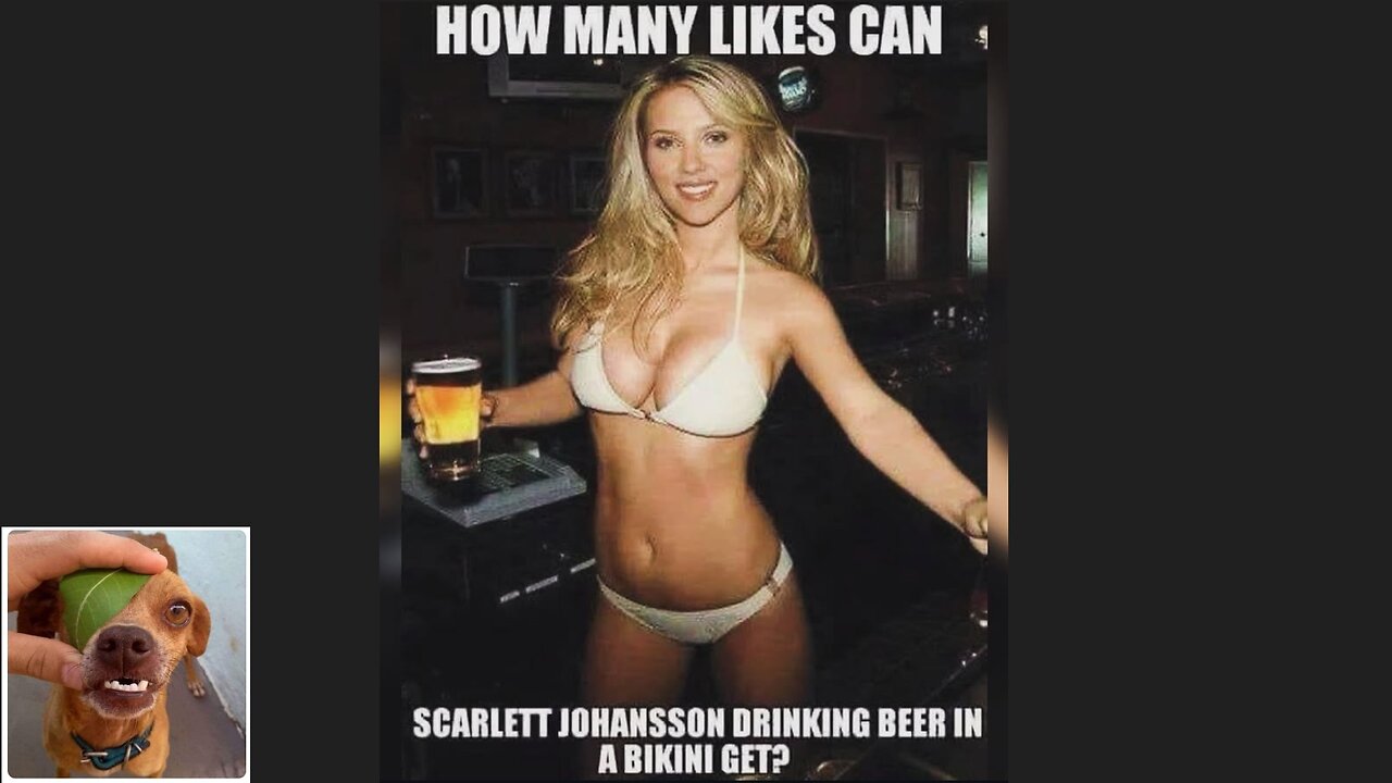 Memes That Will 99.0550% Make You Laugh. (e774)