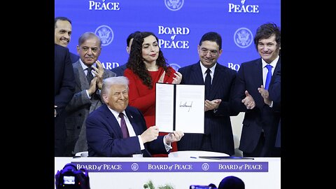 Board of piece - The Grayzone live