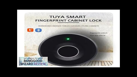 WAFU HF-M3 Tuya Smart Fingerprint Lock Drawer Lock Intelligent Electronic Furniture Locker Review