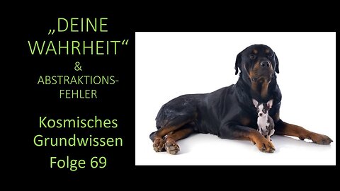 "Deine Wahrheit" & Abstraktionsfehler - Kosmisches Grundwissen Folge 69