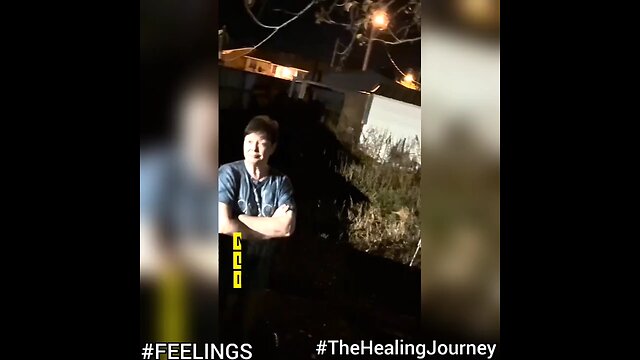 FEELINGS The Healing Journey