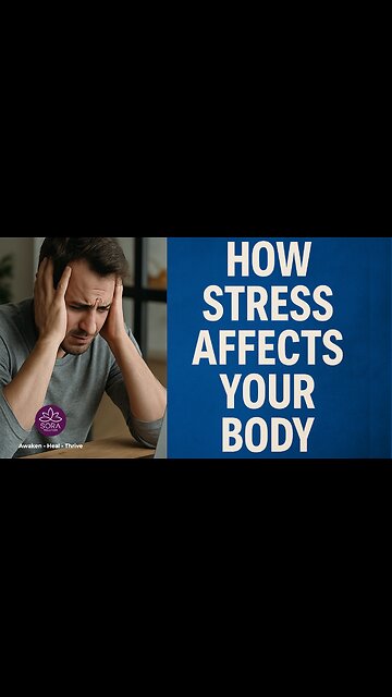 When the Nervous System Calms, Healing Begins