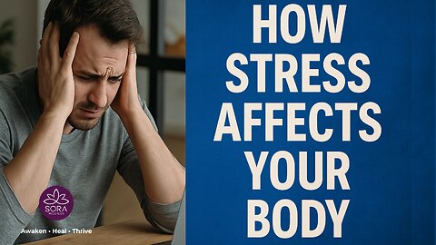 When the Nervous System Calms, Healing Begins