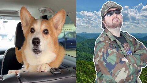 Spoiler: He Didn’t Help (Hammy And Olivia) - Reaction! (BBT)