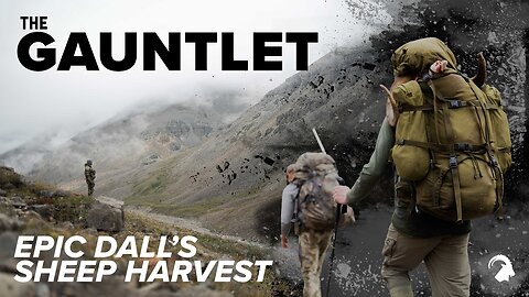 The Gauntlet | Epic Dall's Sheep Hunt in the Mackenzie Mountains