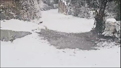 fresh snowfall in Kashmir ❤️