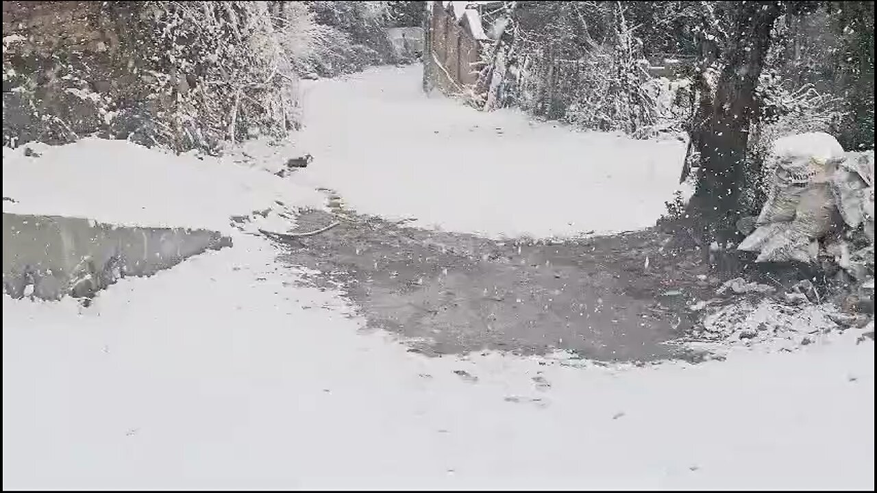 fresh snowfall in Kashmir ❤️