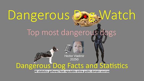 Top most dangerous dogs