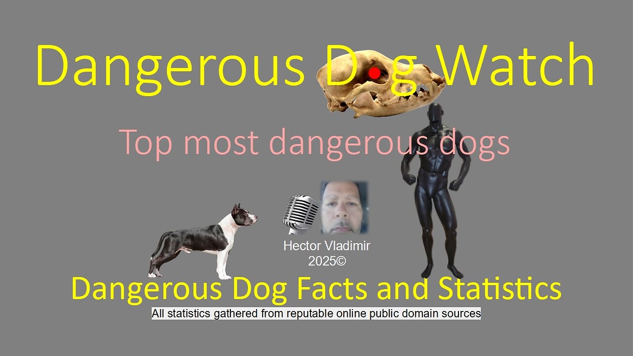 Top most dangerous dogs
